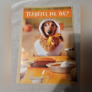 Set of 25 Hallmark Thanksgiving cards with envelopes